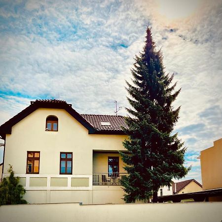 Apartman U Smrku Dvur Kralove nad Labem Exterior photo